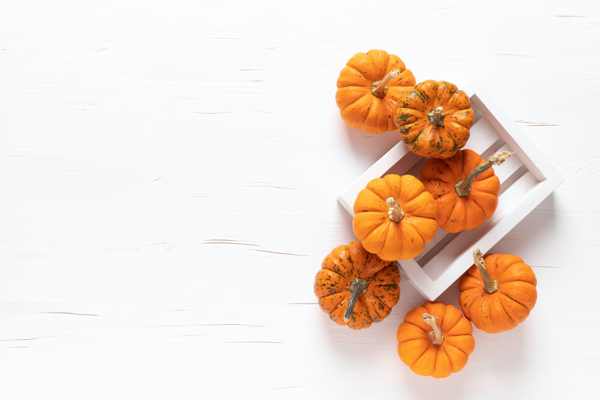 Small decorative pumpkins, halloween and thanksgiving background